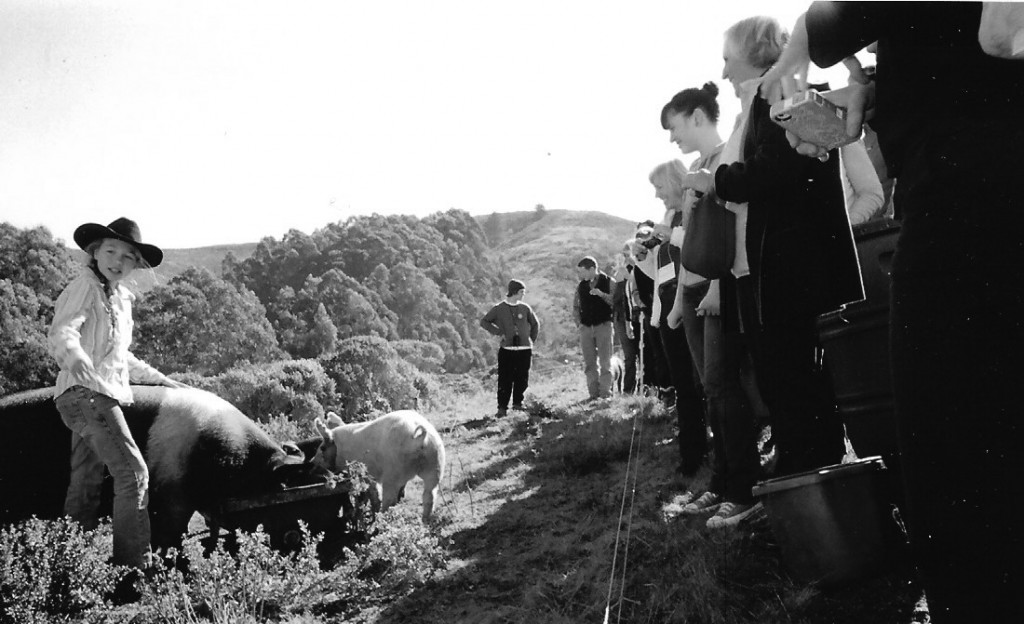 Lea Lee Markegard teaches the group about pigs