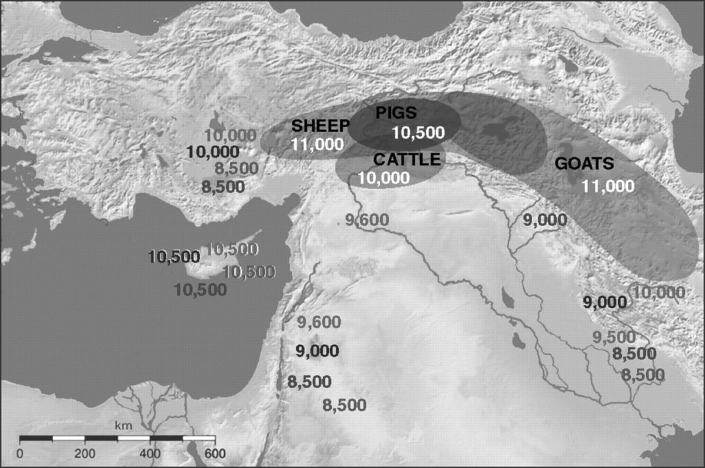 Map showing the Fertile Crescent with indicators of the original and spread of sheep and goats 11,000 years ago, cattle 10,000 years ago, and pigs 10,500 years ago, and then their dispersal from their points of origin throughout the region up to 8,500 years ago.