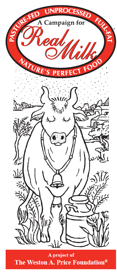 Cover of our Real Milk brochure